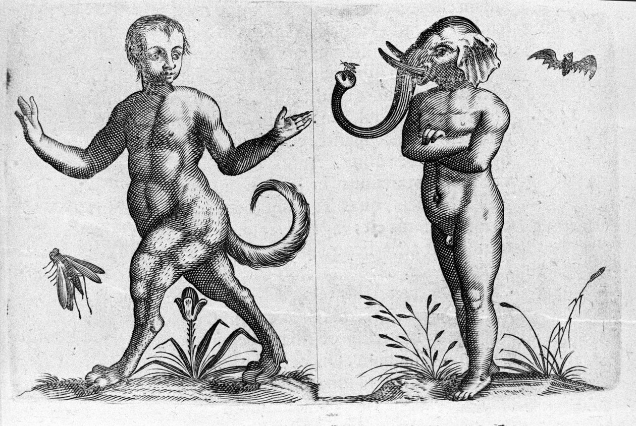 Różne typy ludzkich potworów: jeden człowiek ze zwierzęcymi nogami i inny z głową słonia. Rycina z „De monstrorum natura, causis et differentiis” włoskiego naukowca Fortunio Liceti (1577-1656). 1646 autorstwa Italian School