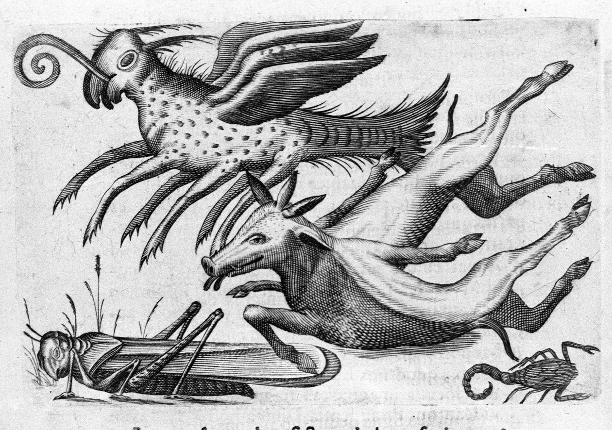Różne rodzaje potwornych zwierząt. Rycina z „Natury potworów, ich przyczyn i różnic” autorstwa włoskiego naukowca Fortunio Whilei (1577-1656). 1646 autorstwa Italian School