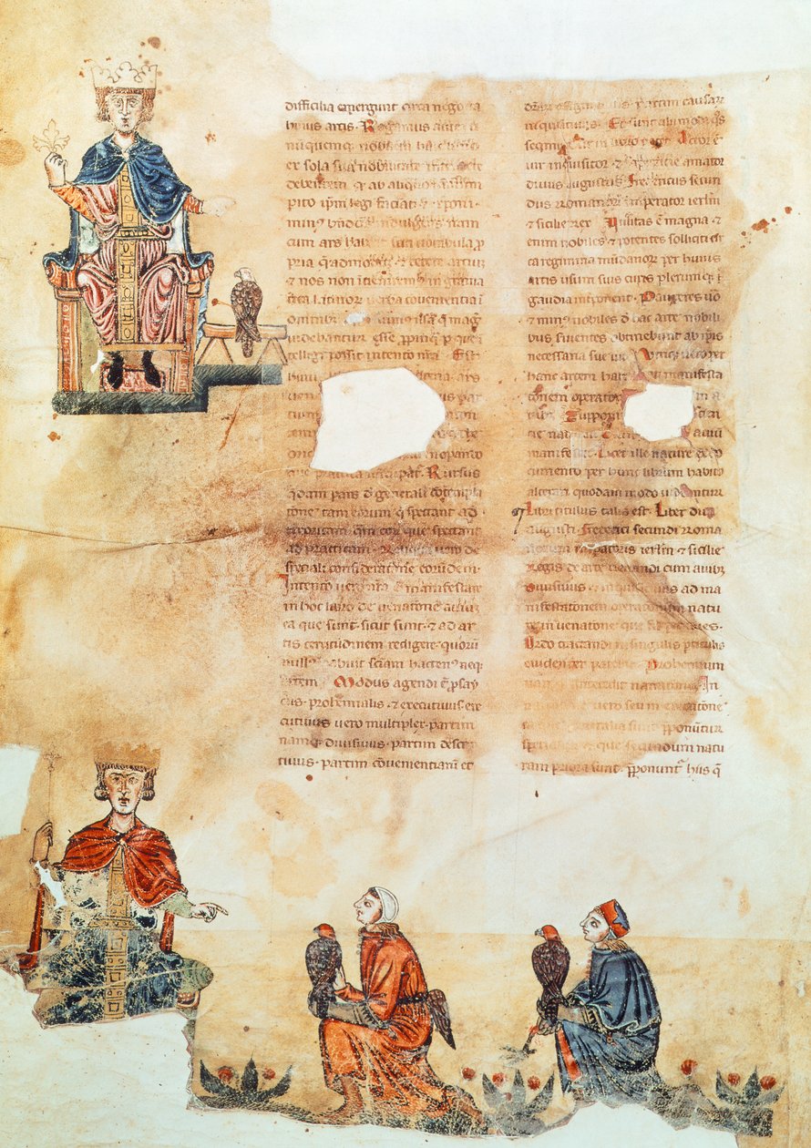 Cesarz Fryderyk II Hohenstaufend, ilustracja z „Sztuka polowania na ptaki” (na welinie) autorstwa Italian School