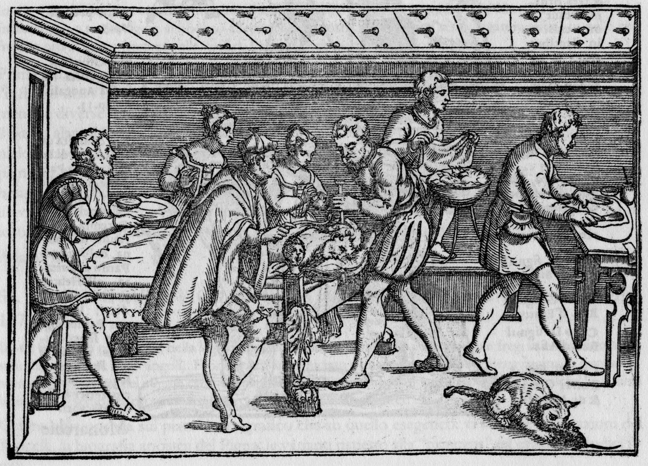 Grawer z 1574 r. w ""Della Cirurgia"""(O chirurgii) autorstwa włoskiego chirurga Giovanniego Andrea dalla Croce. autorstwa Italian School