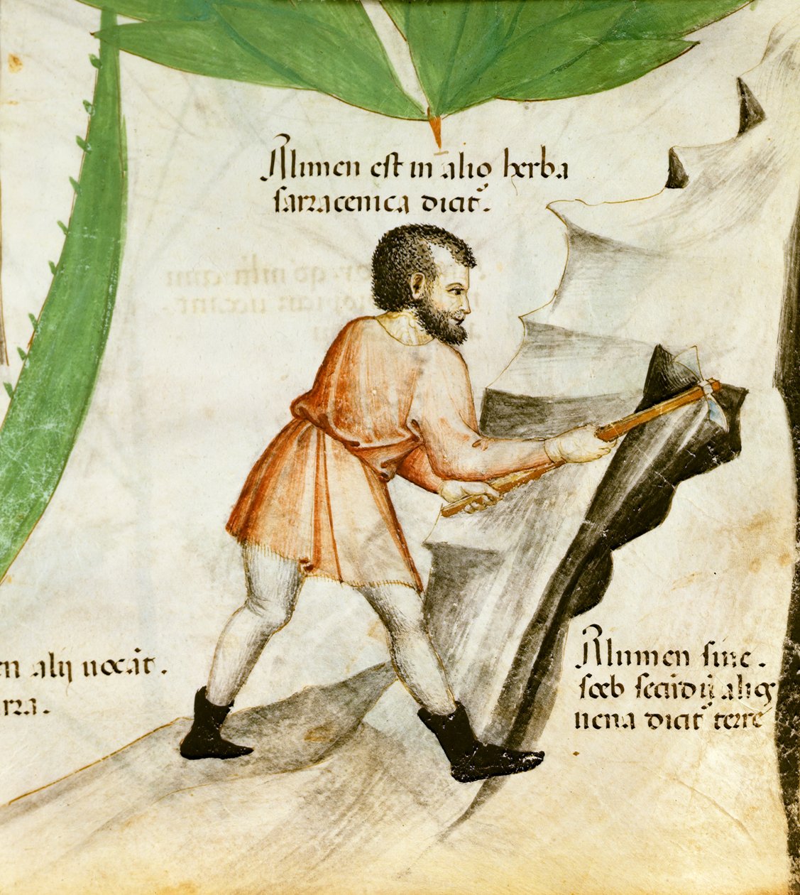 Wydobywanie ałunu, ok. 1440 (kolor lito) autorstwa Italian School