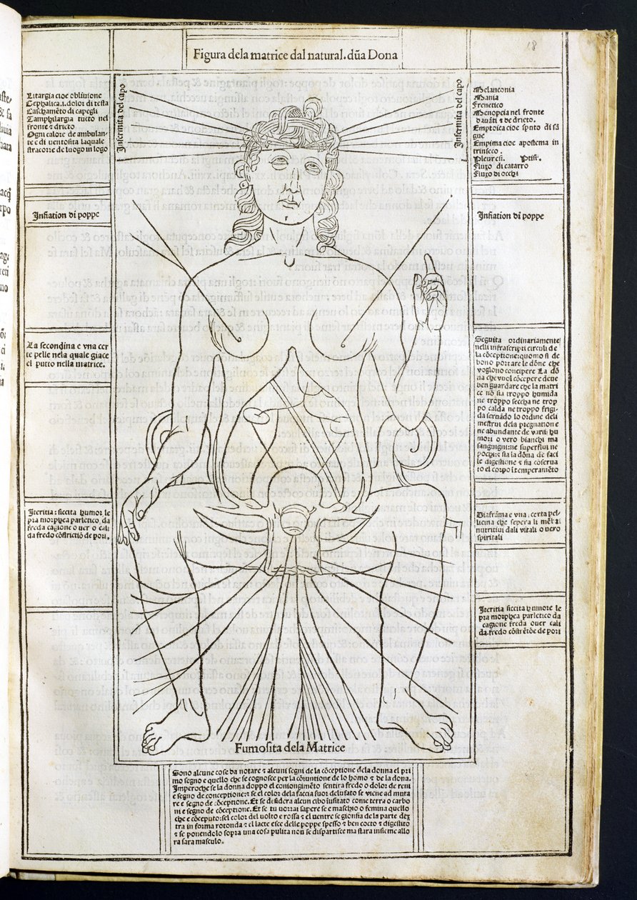 Kobieca anatomia z Fasciculus Medicinae autorstwa Johannesa de Ketham (zm. 1490) ok. 1507 autorstwa Italian School