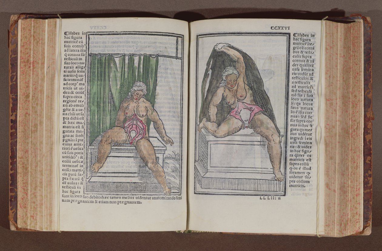 Anatomia kobiety, z komentarzy do anatomii świata z najwspanialszymi dodatkami, autorstwa Jacopo Berengario da Carpi (ok.1460-ok.1530) opublikowanych w Bolonii, 1521 (kolorowy drzeworyt) autorstwa Italian School