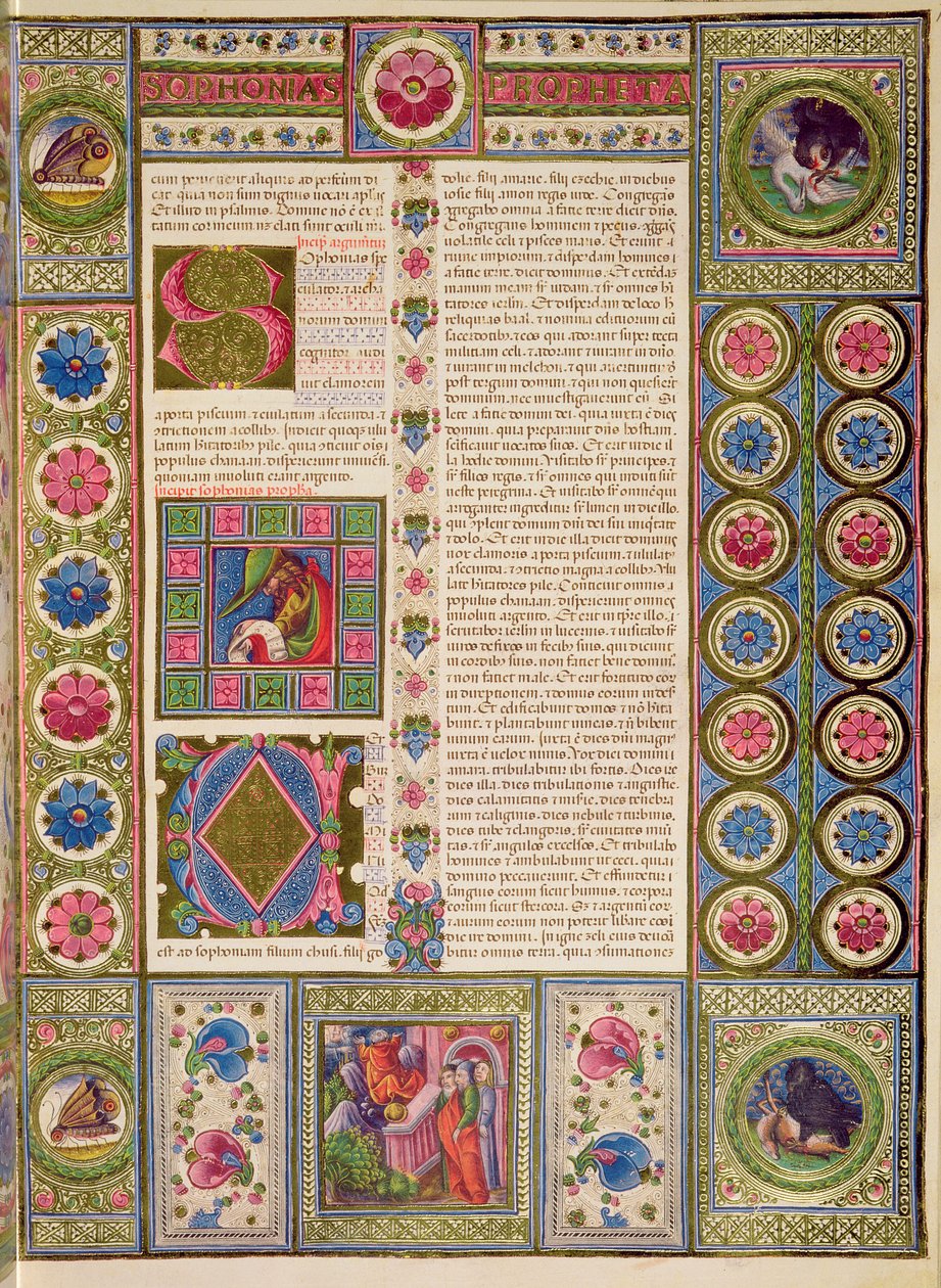 Fol.102r Otwarcie do Księgi proroka Sofoniasza, z Biblii Borso d