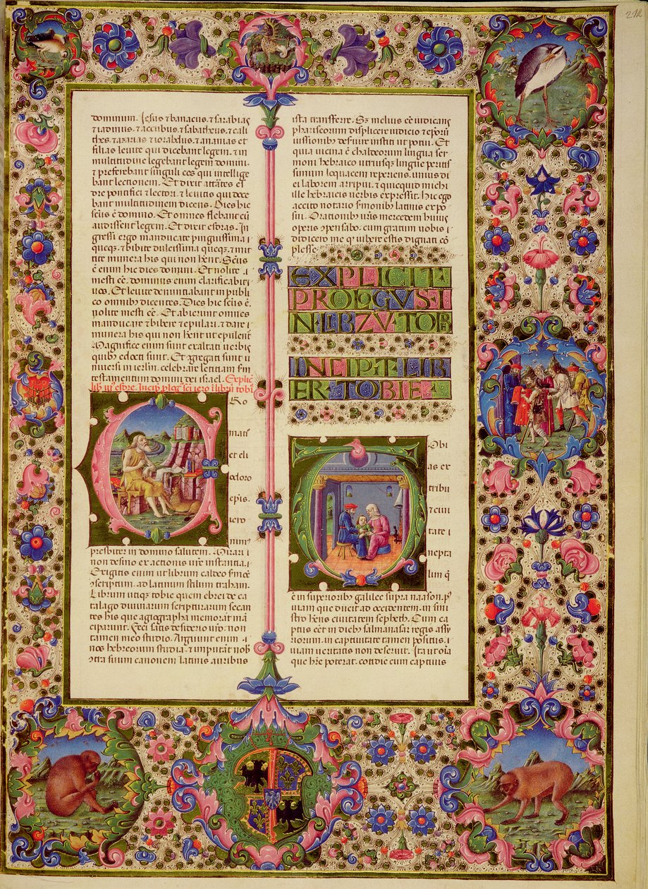 Fol.212r Księga Toby