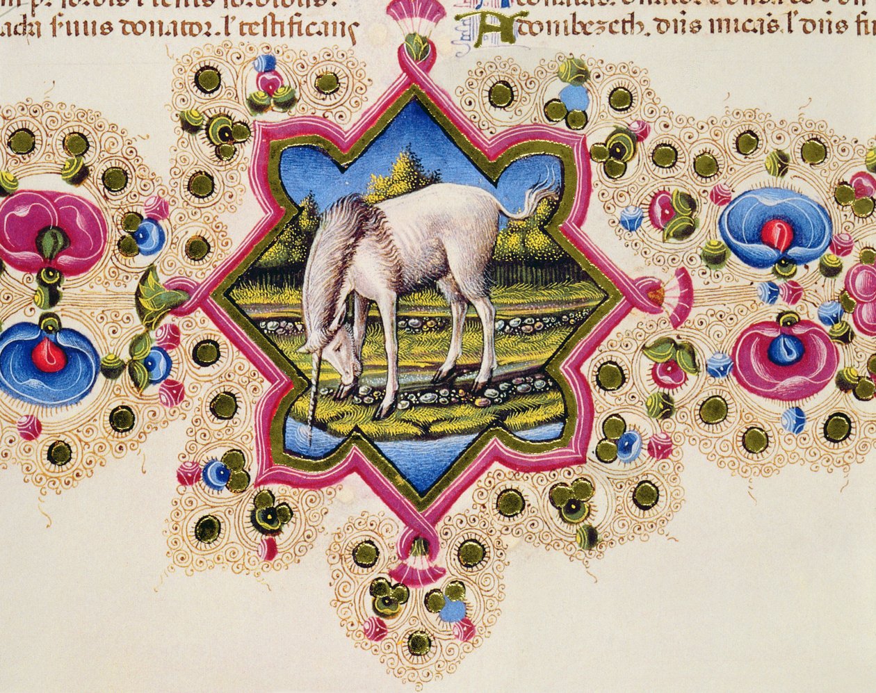 Fol.245V Jednorożec, z Biblii Borso d