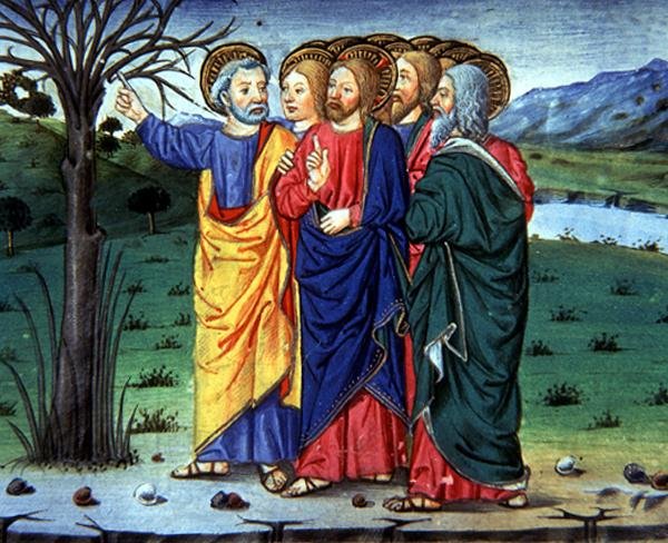 Fol.63r Piotr wskazuje Chrystusowi wyschnięte drzewo (welum) autorstwa Italian School