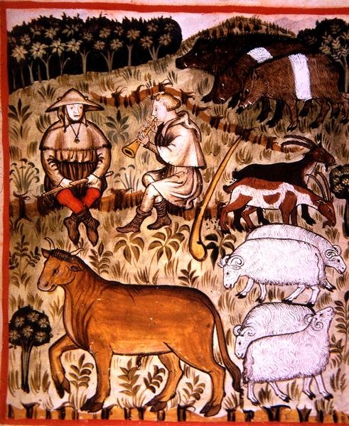 Fol.71r Zwierzęta kastrowane, ilustracja z 