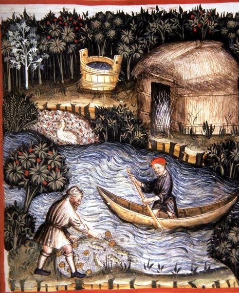 Fol.82r Świeża ryba, ilustracja z 