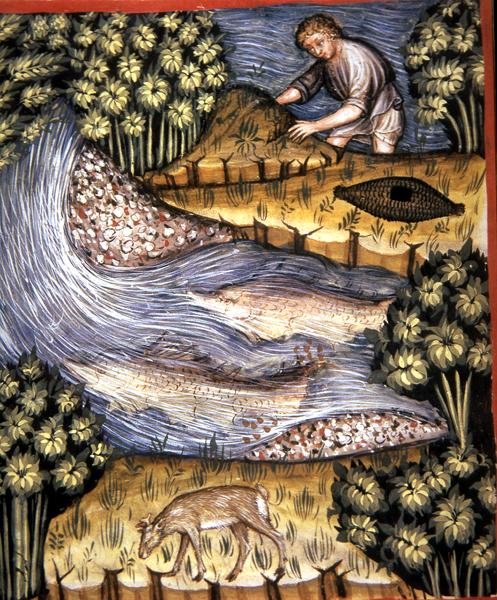 Fol.84v Bursztyn, ilustracja z 