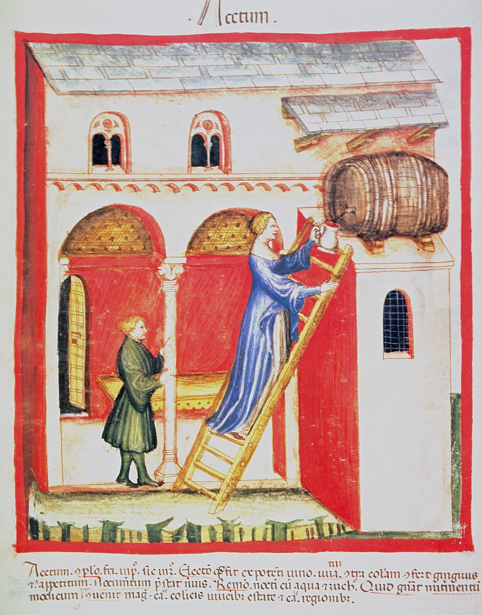 Fol.85v Ocet, ilustracja z Tacuinum Santiatis Codex Vindobonensis autorstwa Italian School