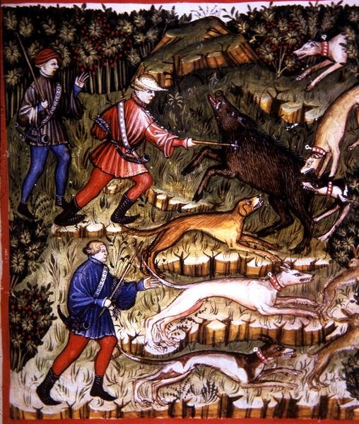 Fol.96r Zwierzęta myśliwskie, ilustracja z 