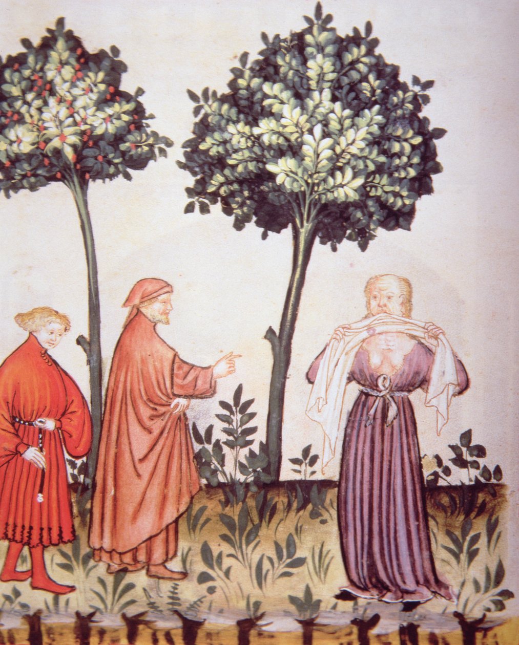 Fol.98v Cholera, ilustracja z Tacuinum Santiatis Codex Vindobonensis autorstwa Italian School
