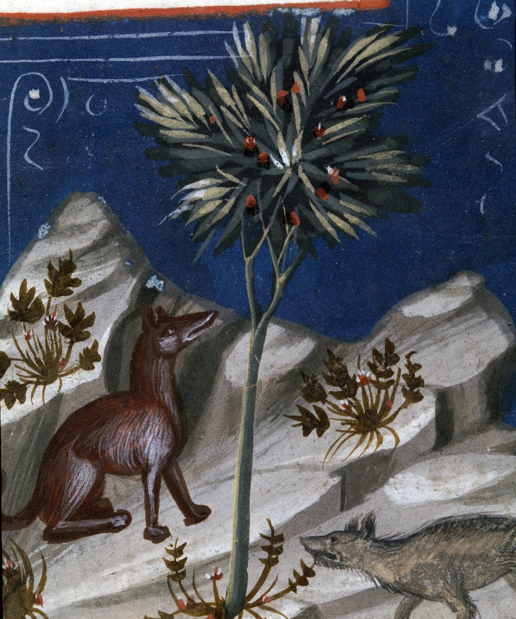 Lis i wilk, ilustracja z "Codex Justianus", 1350 autorstwa Italian School