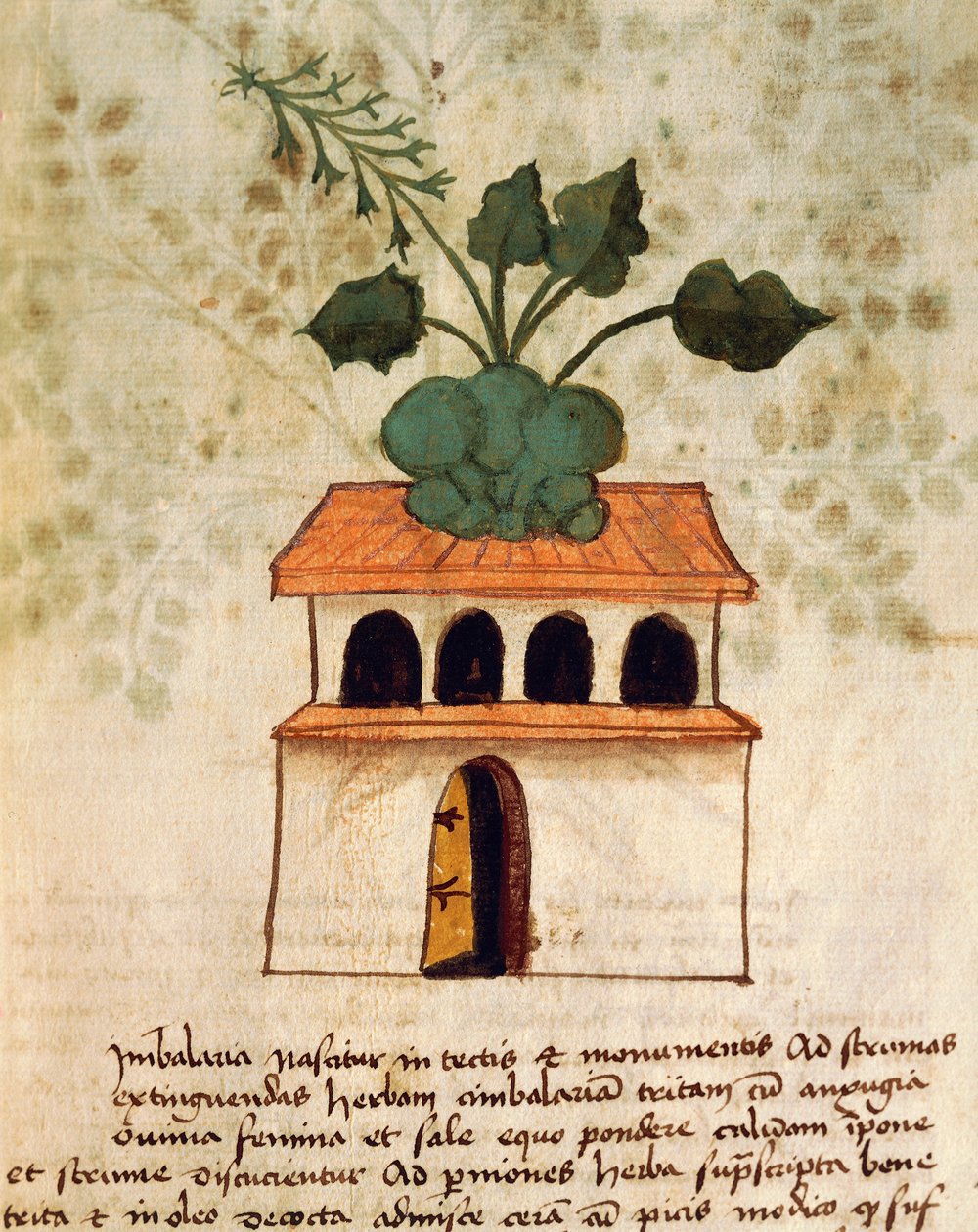 Wiszący ogród autorstwa Italian School