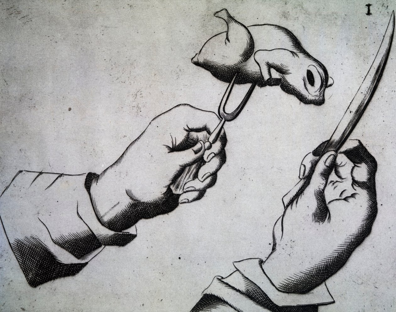 Jak posiekać ptaka, Ilustracja z Trzech traktatów Messera Bawarskiego Bawarii Mattia Giegher, Rozdrabniacz najwybitniejszego narodu niemieckiego w Padwie, Włochy autorstwa Italian School