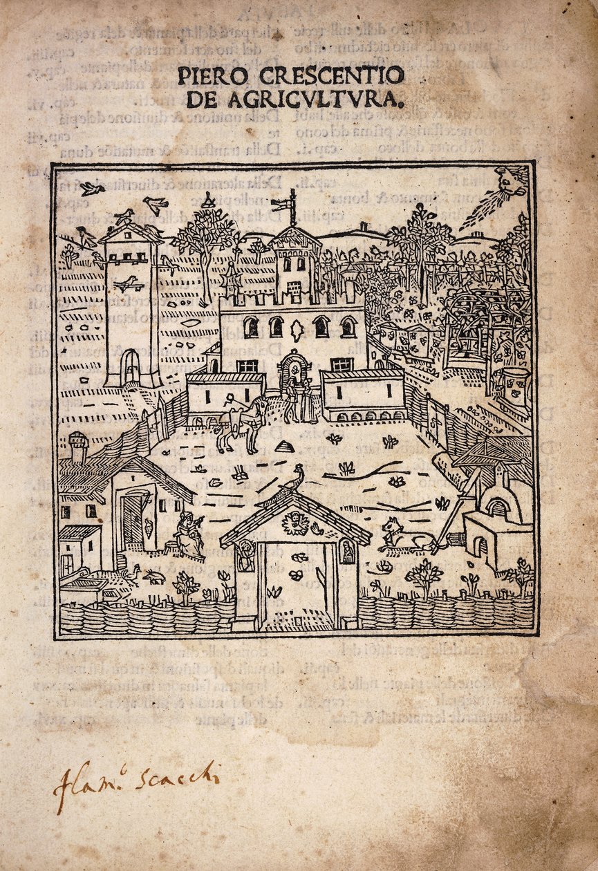 Ilustrowana strona tytułowa z „De Agricultura” autorstwa Italian School