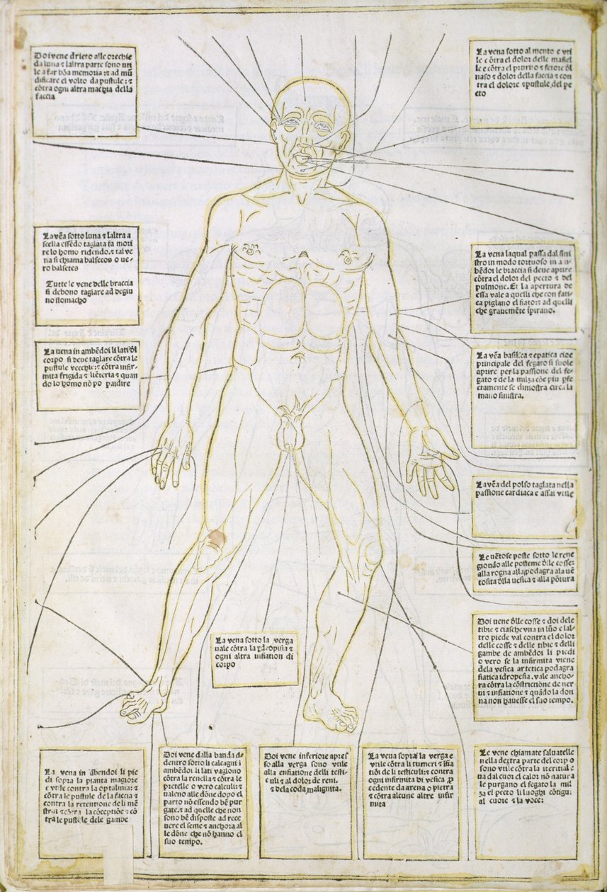 Ilustracja z „Fassiculus Medicinae” Wenecja autorstwa Italian School