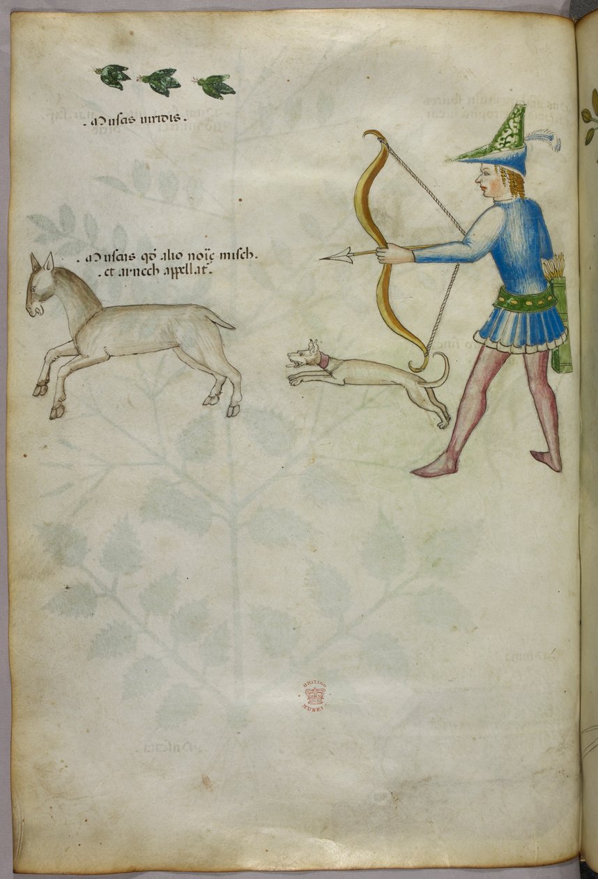 Ilustracja przedstawiająca mężczyznę z łukiem strzelającego do zwierzęcia, z psem i ptakami powyżej, ok. 1440 r. (tusz i kolor na welinie) autorstwa Italian School