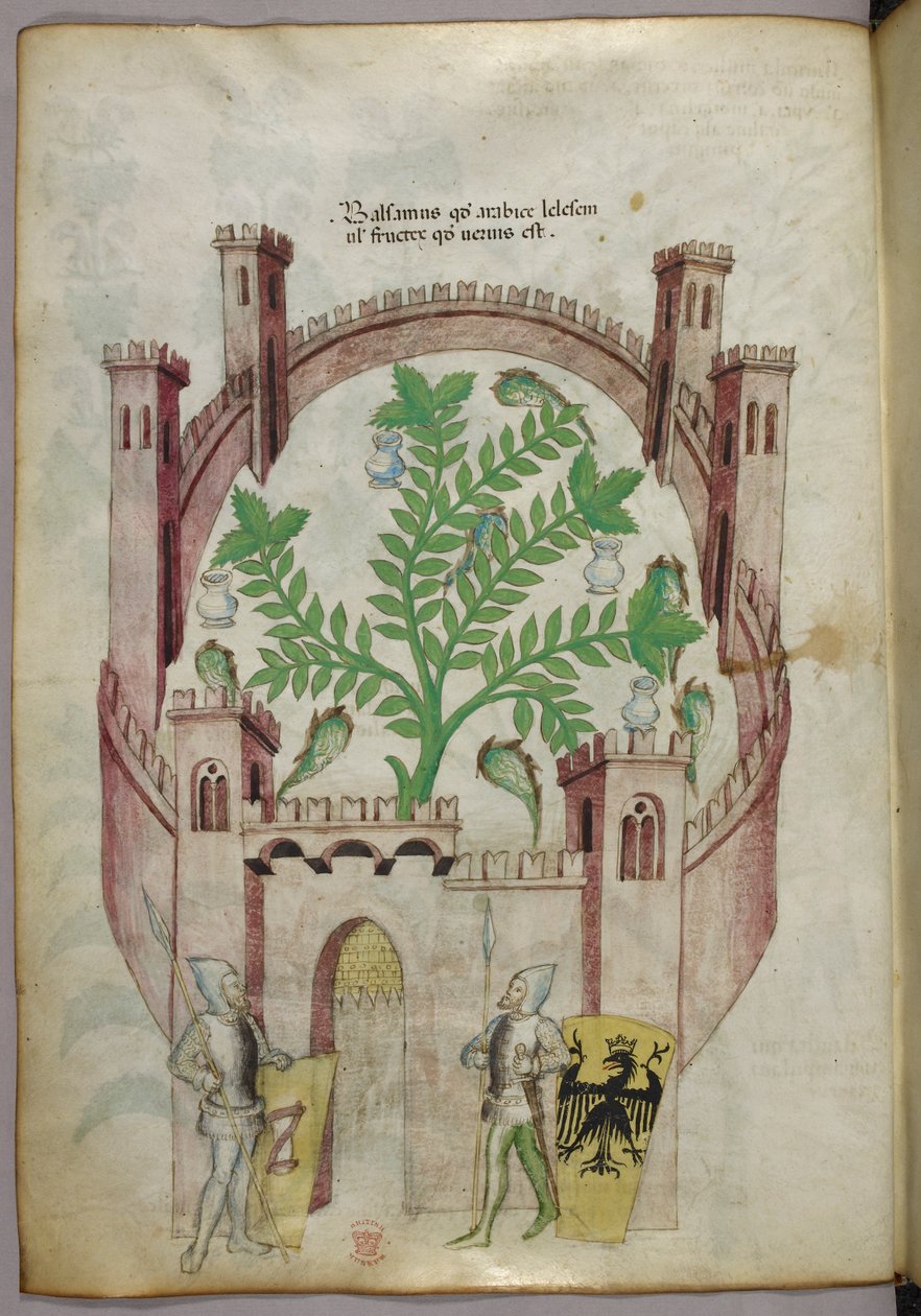 Ilustracja przedstawiająca ogród balsamowy w Kairze (Fustat), z siedmioma basenami z wodą i dzbanami do łapania balsamu, rośliną w centrum, z dwoma rycerzami w zbrojach flankującymi bramę, z tarczami z heraldycznymi ramionami, ok. 1440 r. (tusz i kolor na  autorstwa Italian School