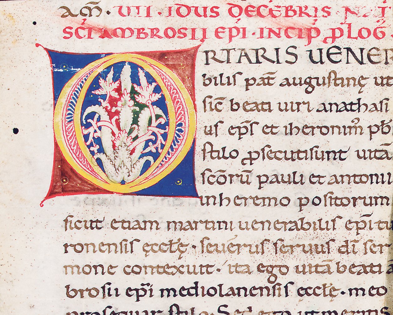 Inicjał „O” na rewersie cięcia z Paulinusem z Mediolanu, Vita Sancti Ambrosii, prawdopodobnie z Toskanii, ok. 1150-75 (tusz na welinie) autorstwa Italian School