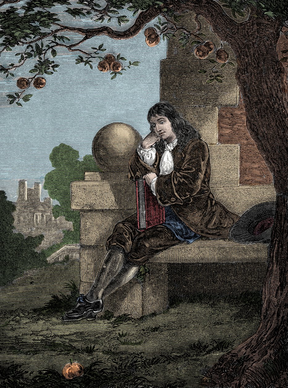 Isaac Newton siedzący pod drzewem obserwuje spadające jabłko na ziemię autorstwa Italian School