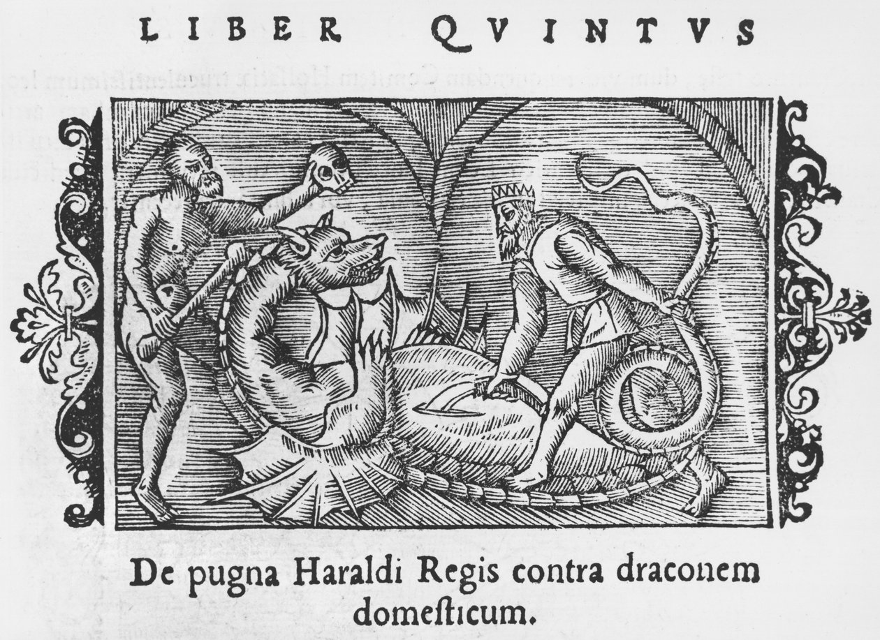 Król Harald walczący ze smokiem, ilustracja z Historii Narodów Północy autorstwa Olausa Magnusa (1490-1558), opublikowana w Rzymie, 1555 autorstwa Italian School