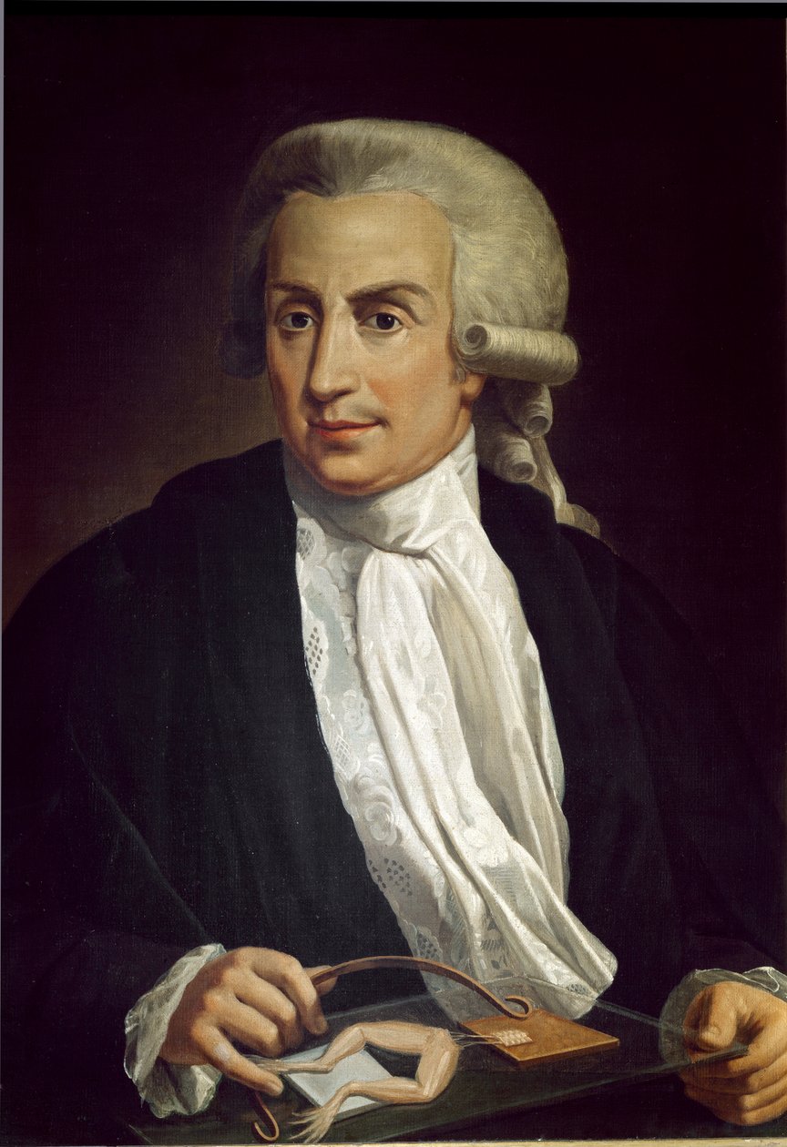 Luigi Galvani z okazem żaby autorstwa Italian School