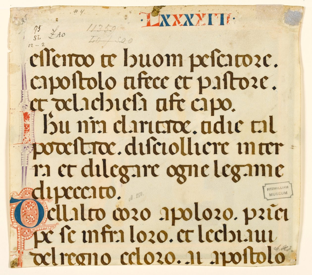 MS McClean folio 201.4 v Lauda dla św. Piotra autorstwa Italian School