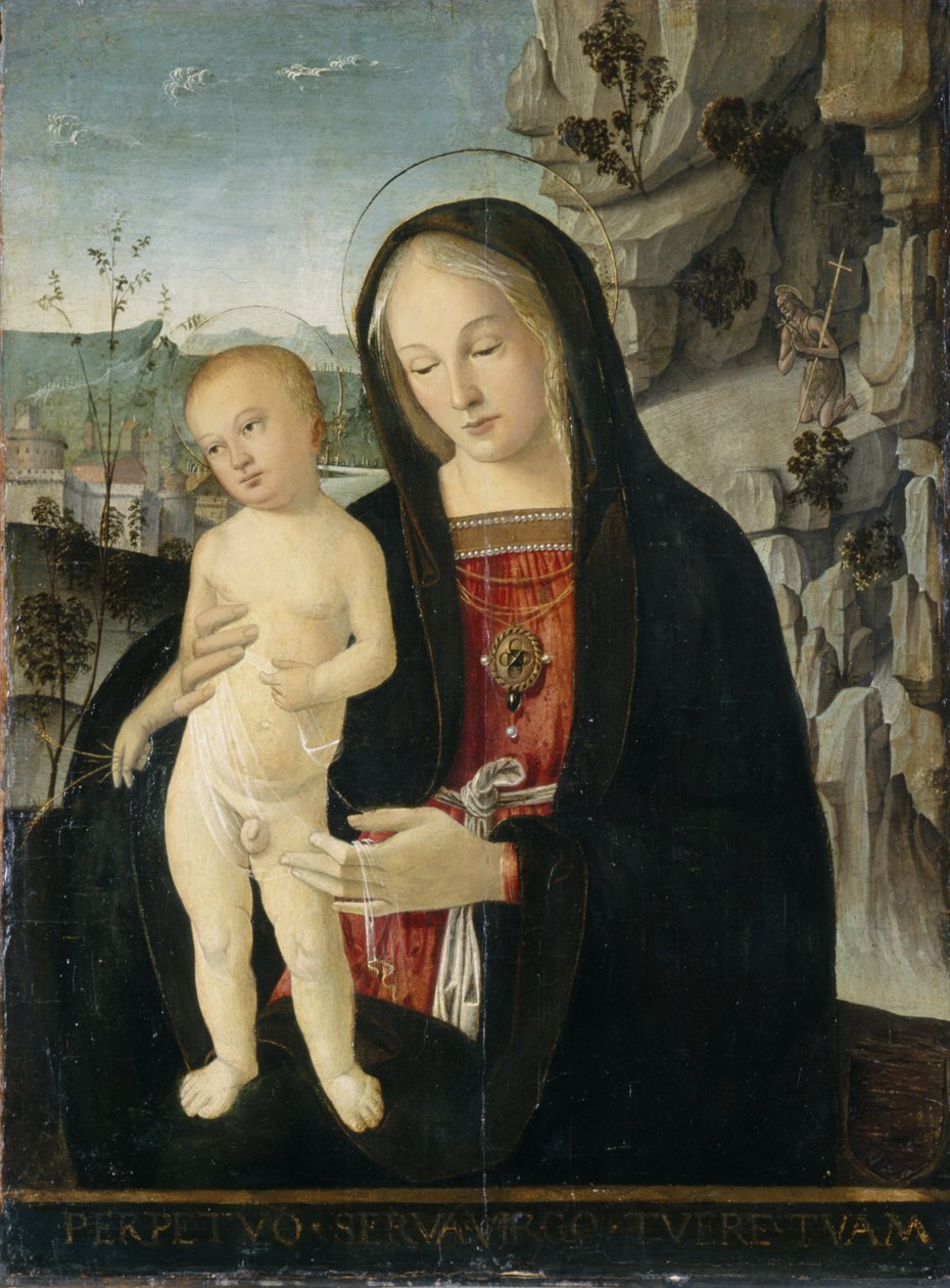 Madonna z Dzieciątkiem, ok. 1500 (tempera na drewnie topoli) autorstwa Italian School