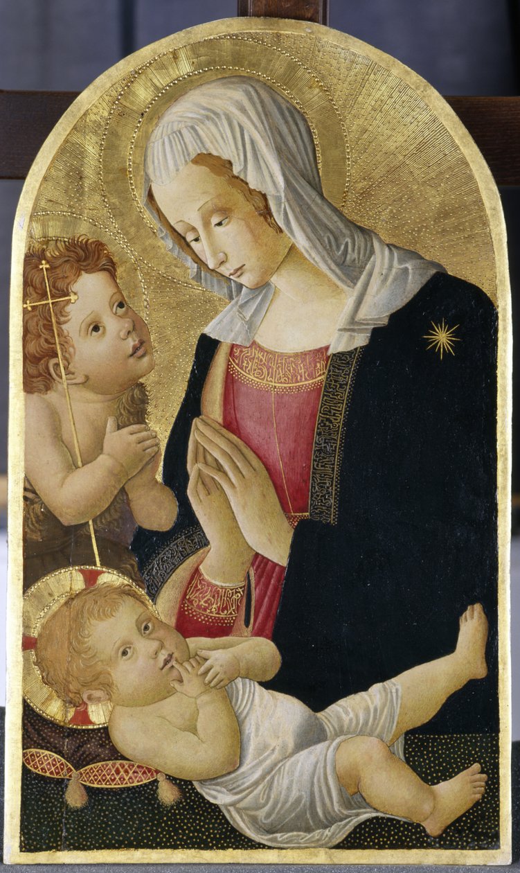 Madonna z Dzieciątkiem z Janem Chrzcicielem, ok.1460 (tempera na drewnie topoli) autorstwa Italian School