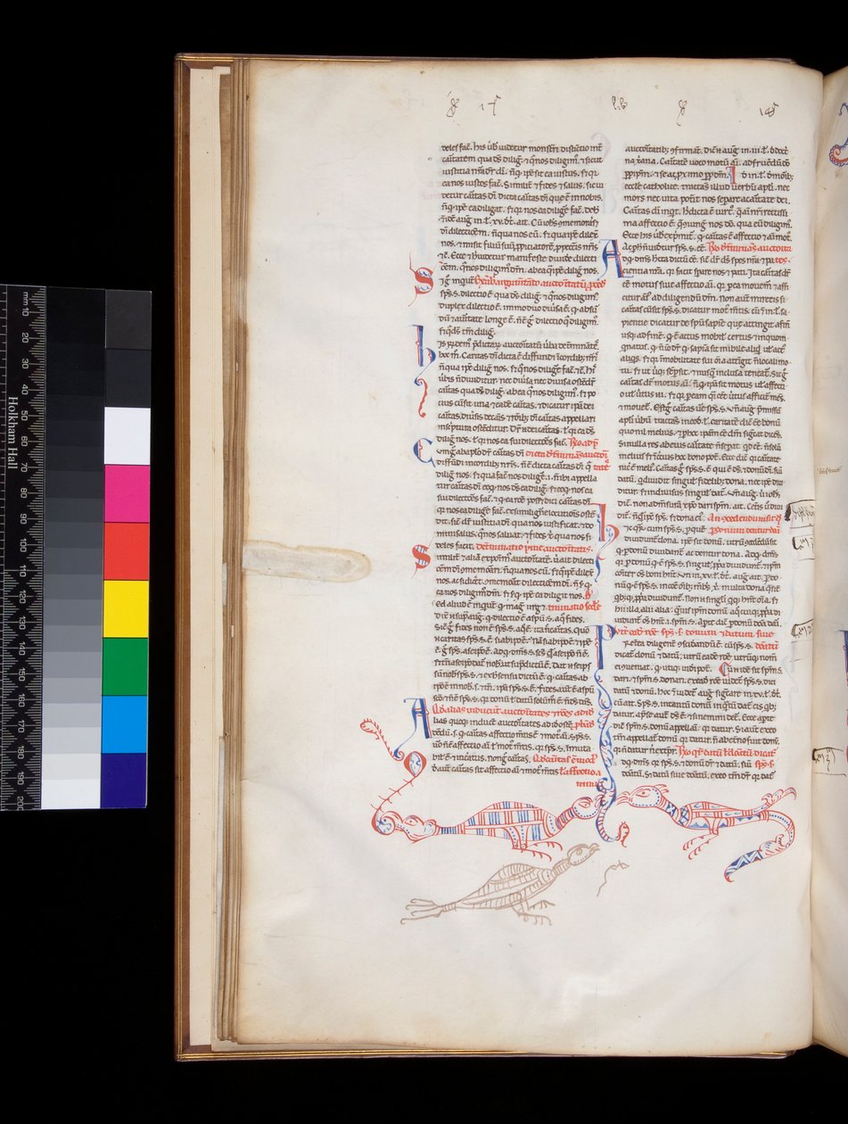 Ms 164. Peter Lombar, Sententiae, f.15v. ozdoba z piórem na kartce, która rozwinęła się w hybrydy ptaka ze smokiem autorstwa Italian School