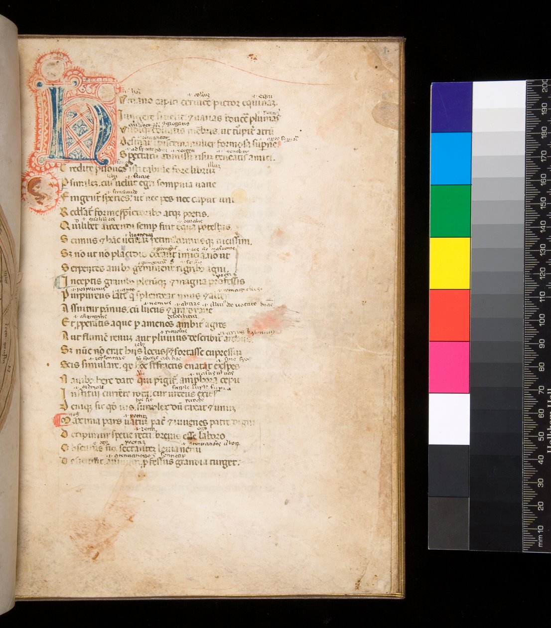 Ms 315. Horace, Ars Poetica i Epistulae, f.1r. Zdobiony inicjał [N] w kolorze niebieskim i czerwonym pieluszkowe wypełnienie i otaczające pióro w kolorze czerwonym autorstwa Italian School