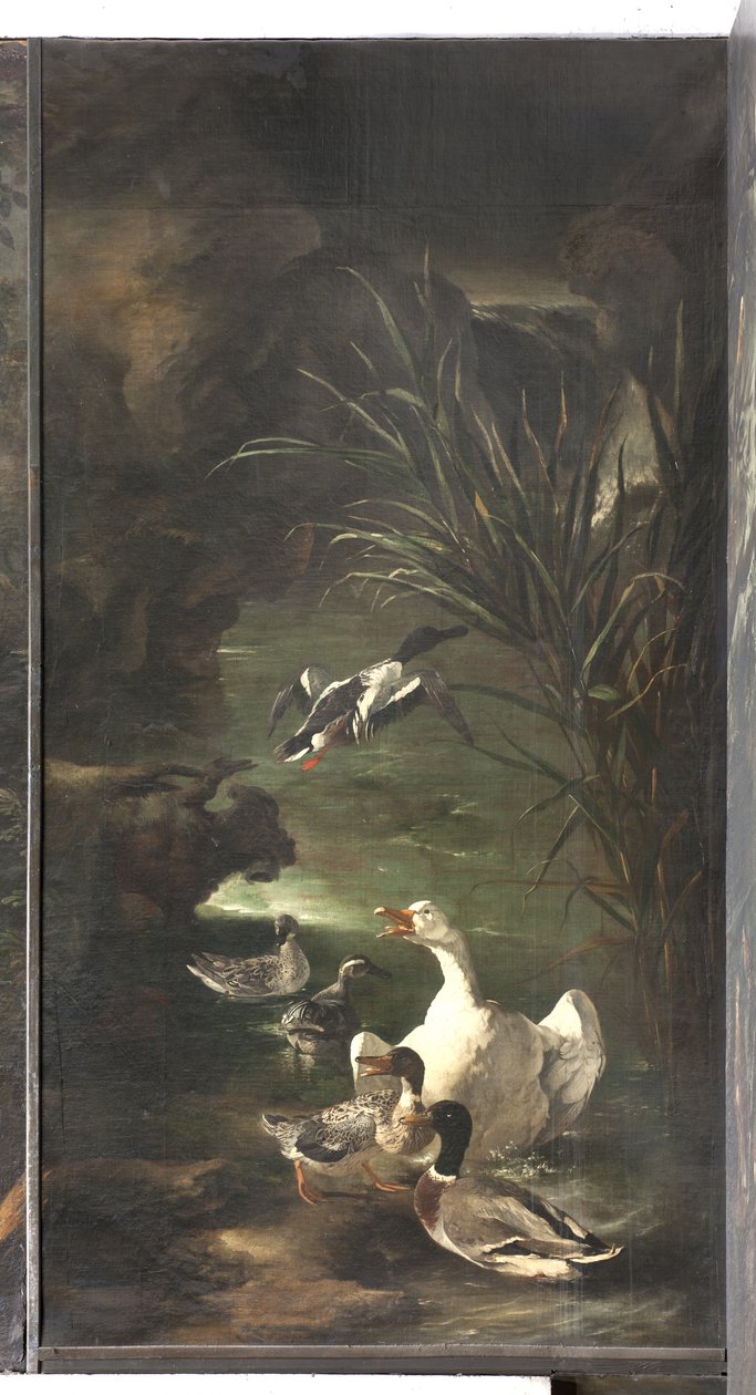 Mit Orfeusza: łabędź i kaczki, ok.1650-60 autorstwa Italian School