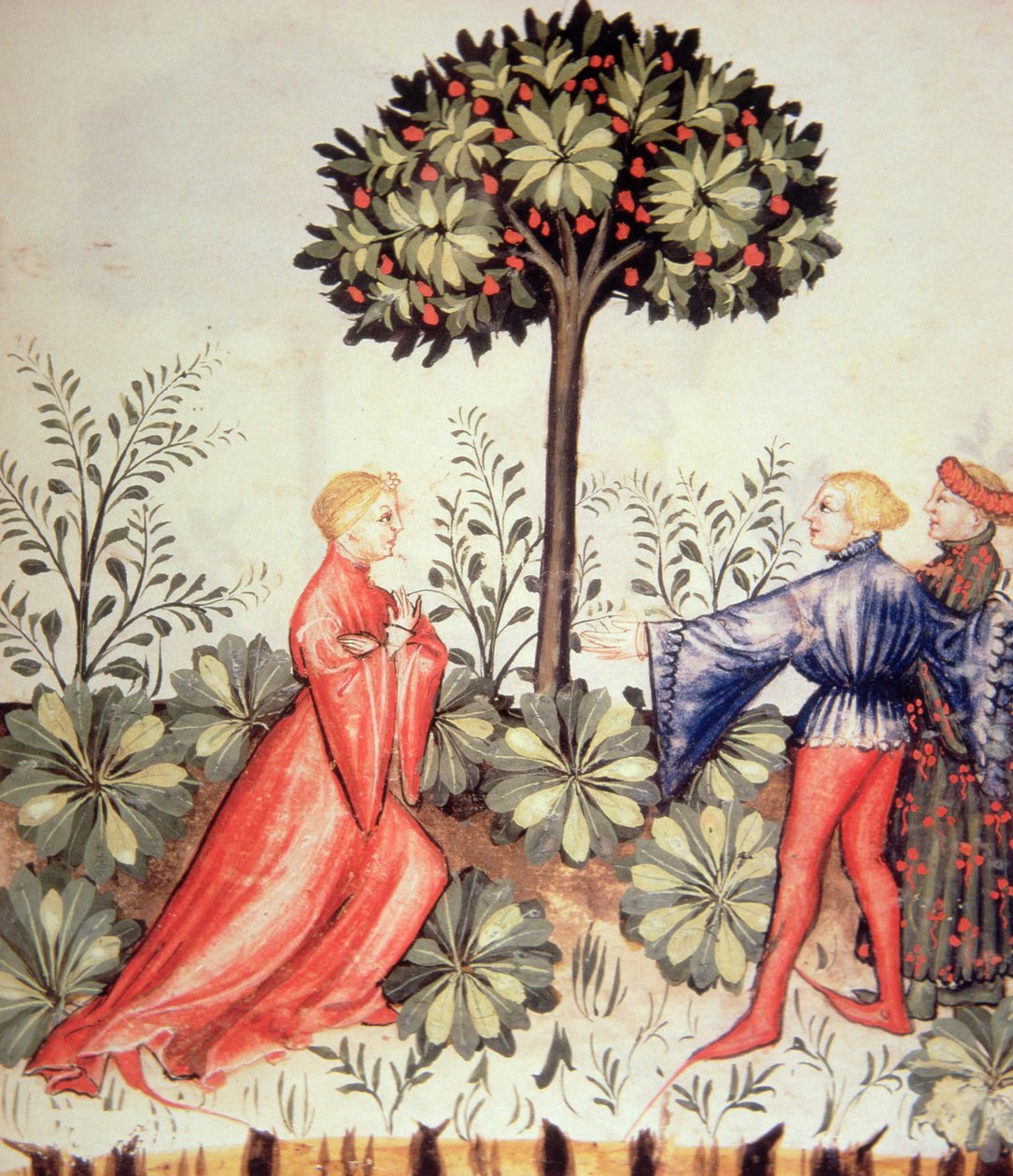 Nova 2644 fol.24r Musztarda Zbiorowa, z Tacuinum Sanitatis autorstwa Italian School