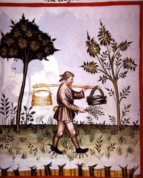 Nova 2644 fol.61v Zsiadłe mleko z 