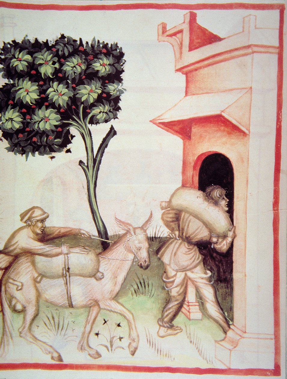 Nova 2644 fol.91v Oliwa z oliwek: transport oliwek z Tacuinum Sanitatis autorstwa Italian School