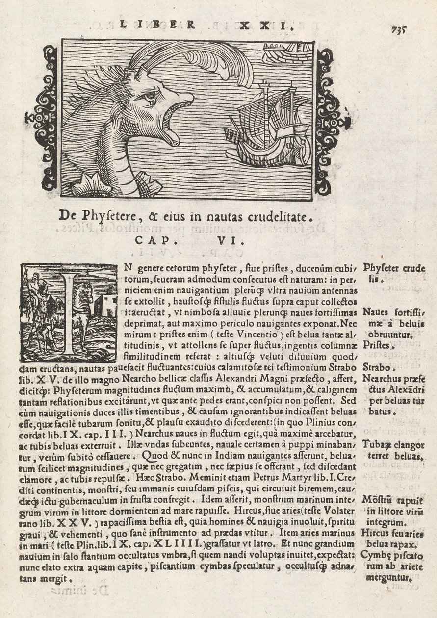 Strona 735 z Historii Północy, Magnus Olaus, Rzym 1565 (druk i grawerowanie) autorstwa Italian School