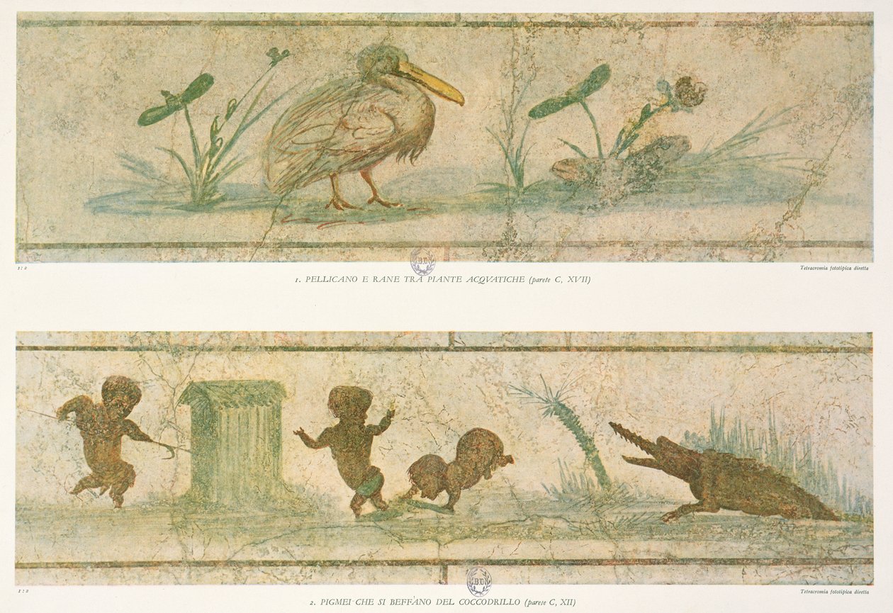 Pelikany, rośliny wodne i pigmeje uciekające przed krokodylem, po oryginalnych freskach, z Images du Colombier de la Villa Pamphilj G. Bendinelli, 1941 autorstwa Italian School