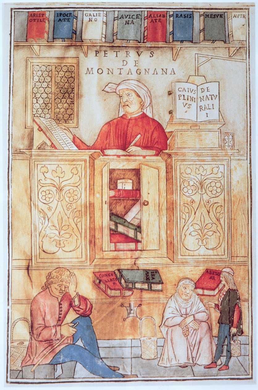 Petrus de Montagnana, ilustracja z „Fasciculus Medicinae” Jeana de Ketham, opublikowana w Wenecji 1495 (kolorowy drzeworyt) autorstwa Italian School