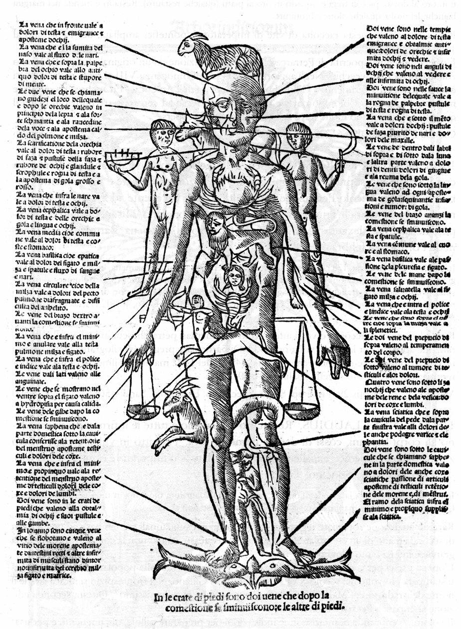 Tabliczka przedstawiająca ludzkie ciało z pozycją wszystkich narządów i odpowiadającymi im znakami zodiaku przez ich wpływy astrologiczne. Plage zaczerpnięte z „” Recetoro di Galeno optio e probato a tutte le infirmita che accadeno a huomini e a donne di d autorstwa Italian School