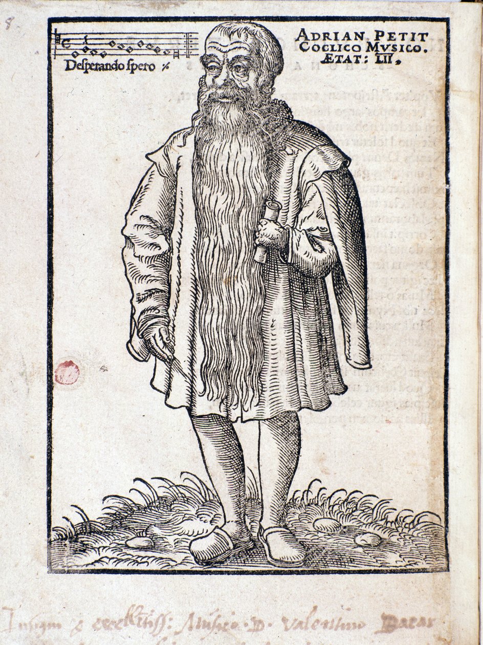 Portret Adrianusa Petit Coclico (1500-1562) Holenderski kompozytor renesansu. autorstwa Italian School