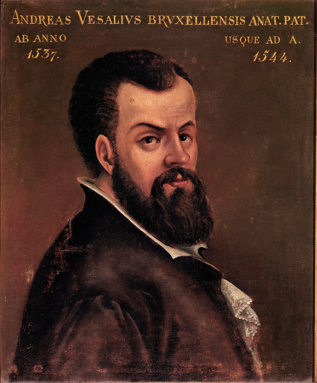 Portret Andre Vesale (Andreas Vesalius) (1514-1564), anatom i lekarz anonimowego malarstwa Karola V szkoły włoskiej. XVI-wieczna Padwa, Uniwersytet autorstwa Italian School
