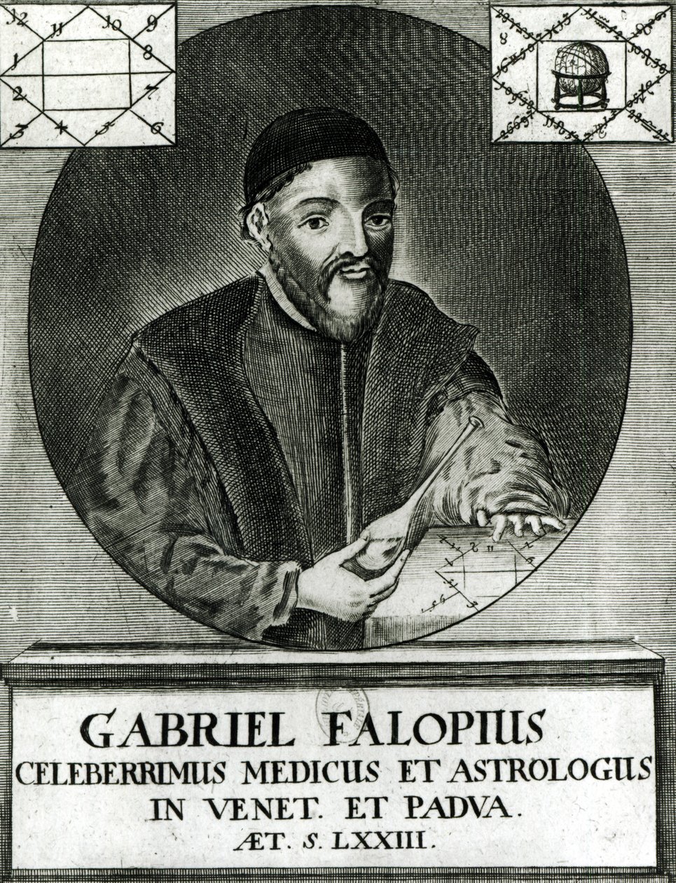 Portret Gabriela Fallopiusa (1523-62) autorstwa Italian School