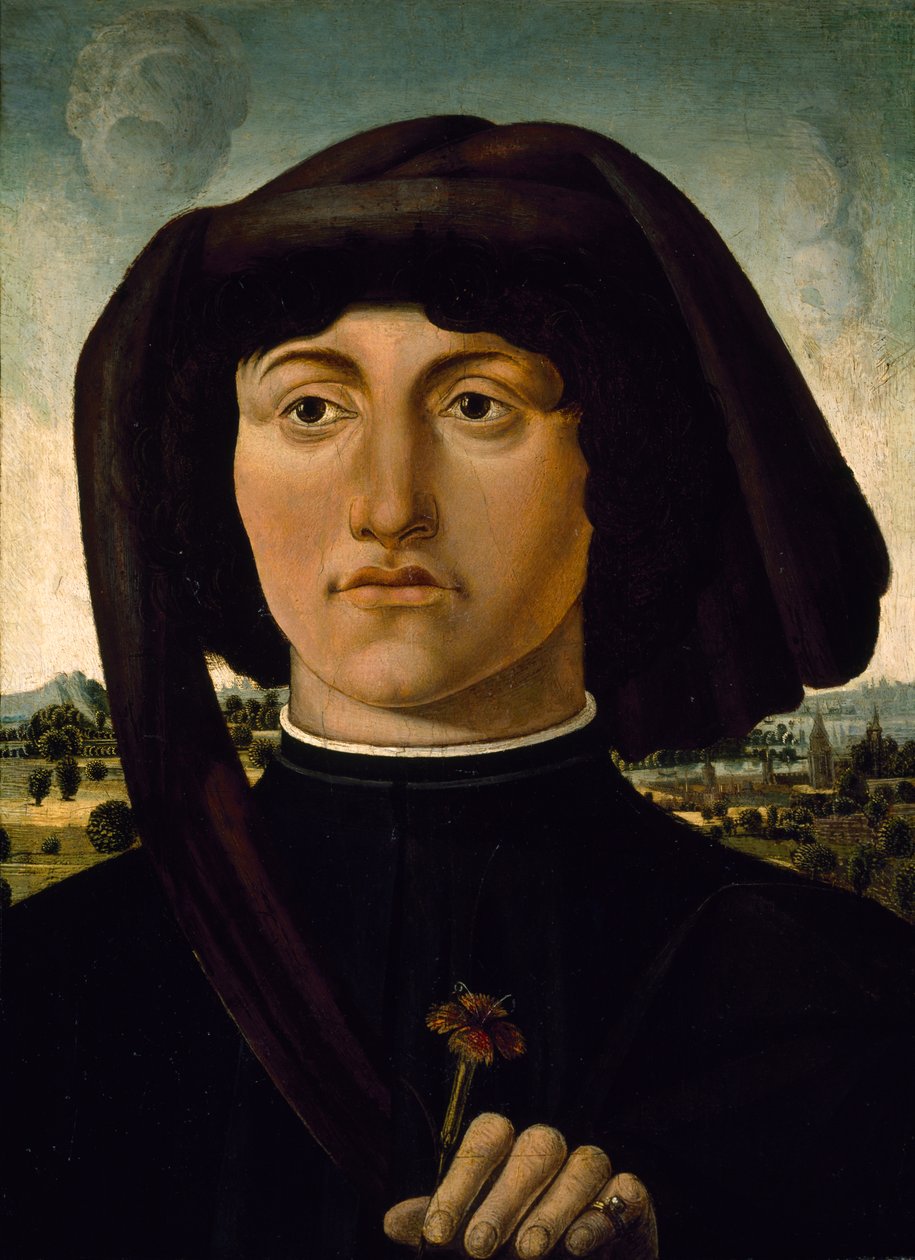Portret młodzieńca z różowym kwiatem, ok. 1475-85 (tempera na drewnie) autorstwa Italian School