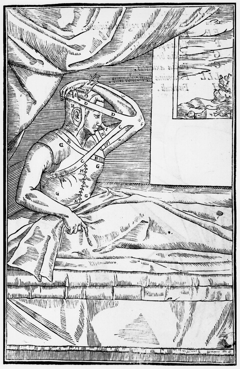 Chirurgia rekonstrukcyjna nosa, ilustracja z De curtorum chirurgia per insitionem Gaspare Tagliacozziego (1545-99) Wenecja, opublikowana 1597 autorstwa Italian School