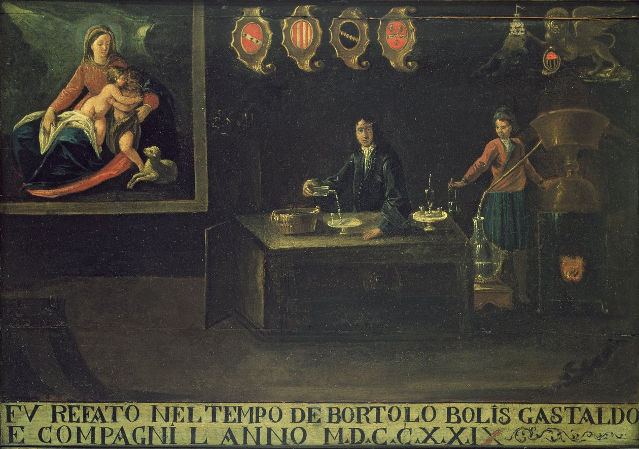 Znak Weneckiego Cechu Farmaceutów, 1729 (panel) autorstwa Italian School