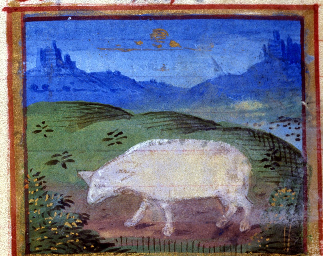 Znak barana. Horoskop włoski, połowa XV wieku. autorstwa Italian School