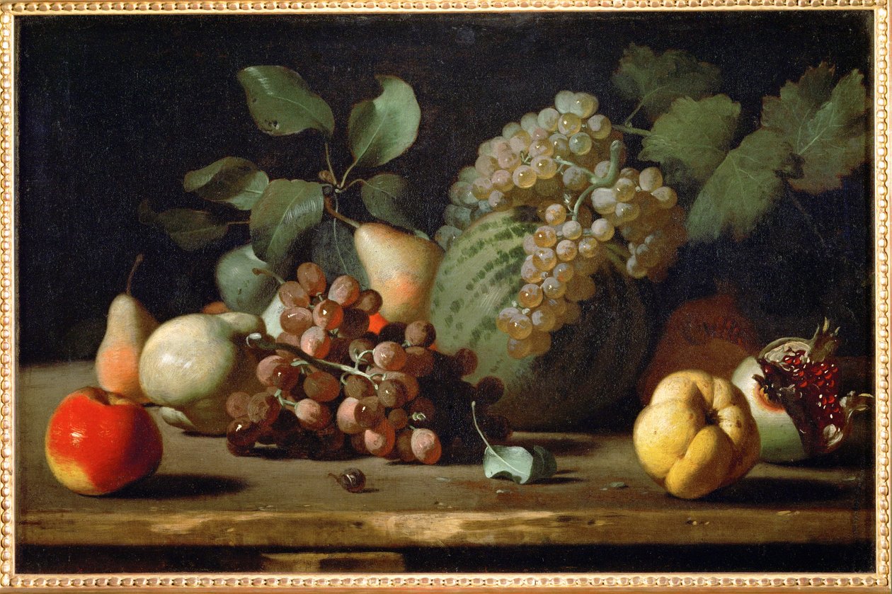 Martwa natura z winogronami i granatem, wczesny ... autorstwa Italian School