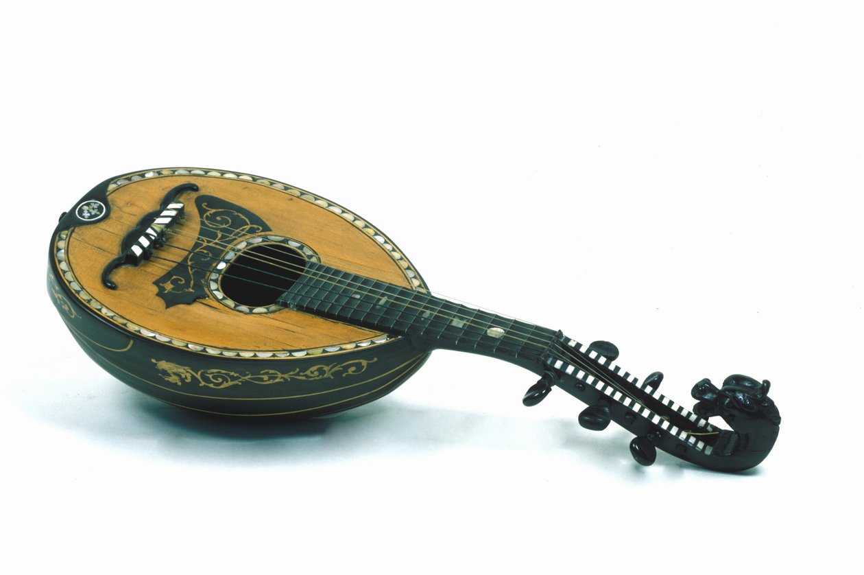 Martwa natura mandoliny typu mediolańskiego. 18 wiek. autorstwa Italian School